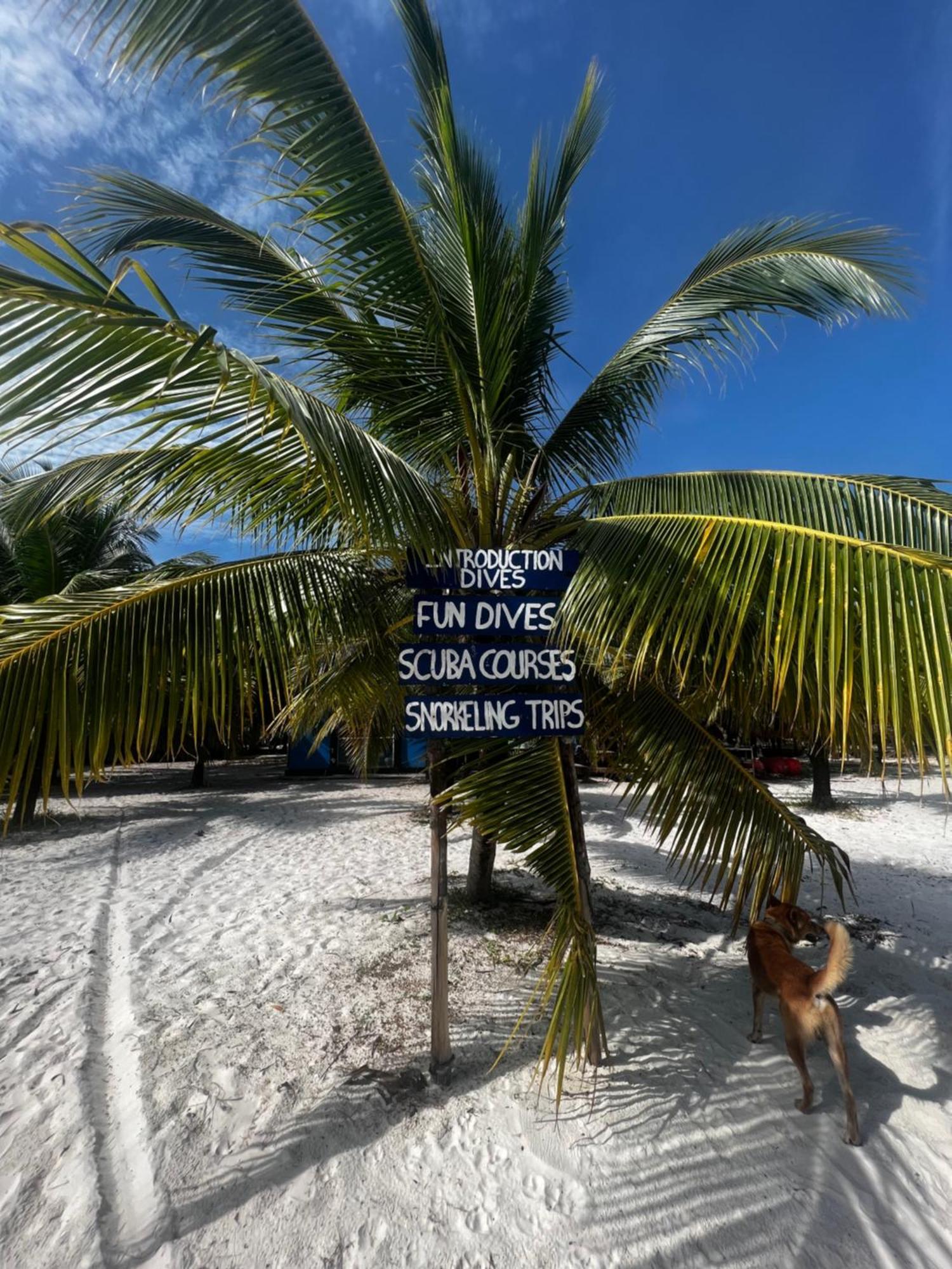 Hostel Rafikis Ostrov Koh Rong Exteriér fotografie